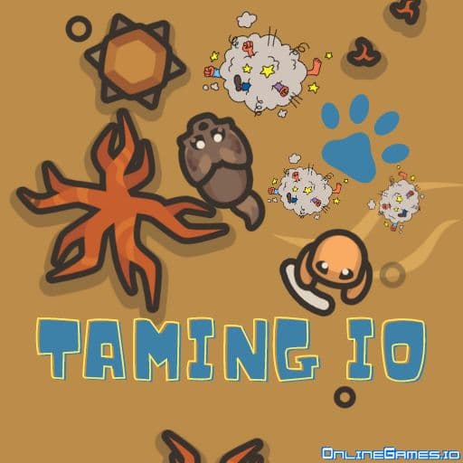 Cover image for Taming io